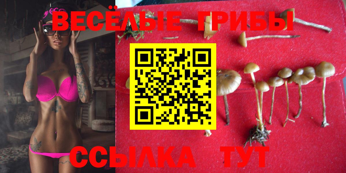 Янаул  Псилоцибиновые грибы Psilocybe  Вход с VPN 